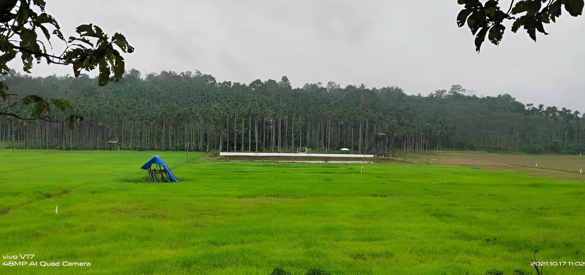 Hotel Wildside Wayanad
