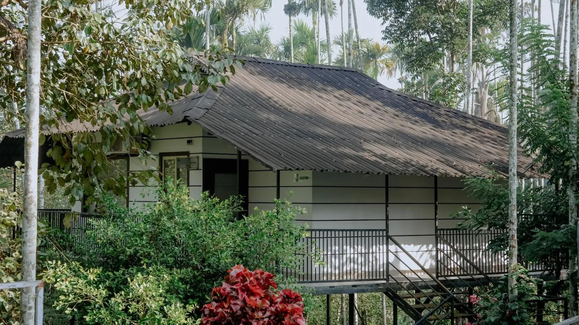 Hotel Wildside Wayanad